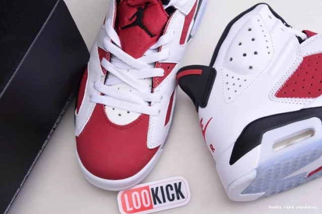Rep Husky 'CARMINE' 2021 AIR 6 RETRO JORDAN CT8529-106 0814